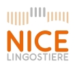 Nice Lingostière